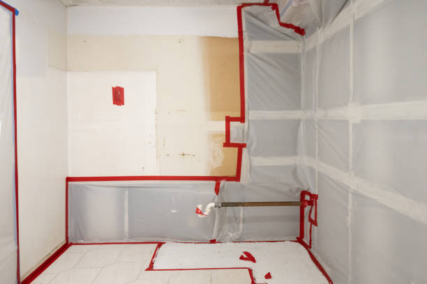 Best Crawl Space Mold Remediation  in Mayfield, OH