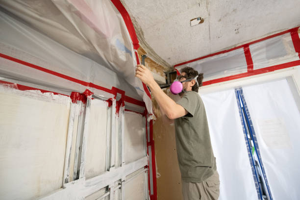 Best Asbestos and Lead Testing During Mold Inspection  in Mayfield, OH